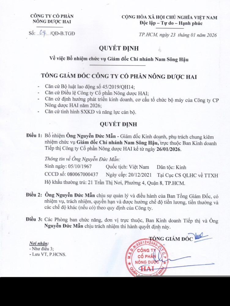 a-man---quyet-dinh.jpg