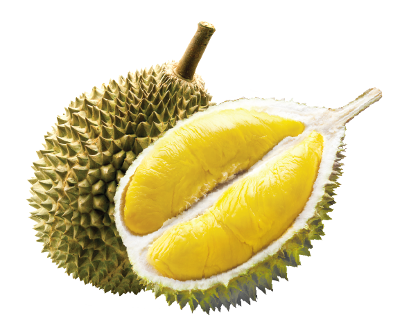 Sầu Riêng